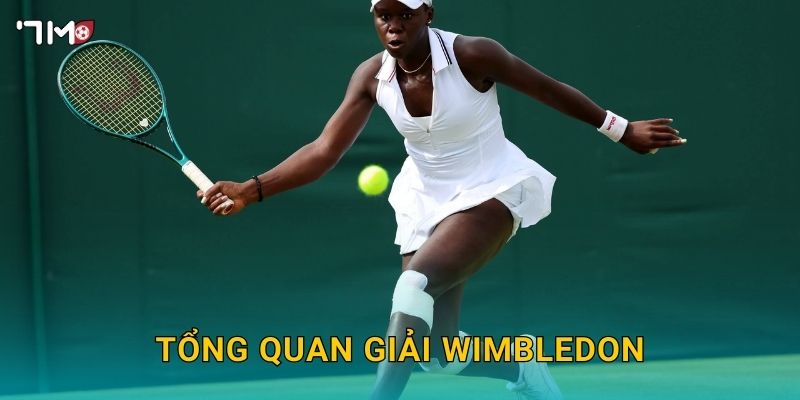 Tổng quan giải Wimbledon