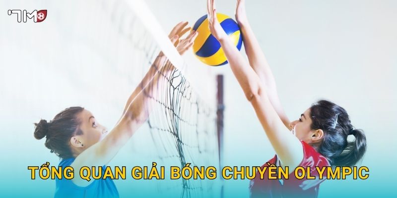 Giải Bóng Chuyền Olympic 7M – Dự Đoán Kết Quả Và Kèo Thắng Lớn 2025 2 Tổng quan giải bóng chuyền Olympic