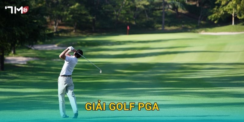 Giải Golf PGA 7M – Phân Tích Tỷ Lệ Kèo Và Dự Đoán Nhà Vô Địch 2025 1 Giải Golf PGA 7M – Phân Tích Tỷ Lệ Kèo Và Dự Đoán Nhà Vô Địch 2025