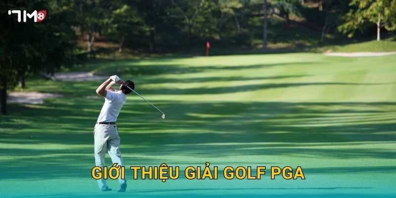 Giải Golf PGA 7M – Phân Tích Tỷ Lệ Kèo Và Dự Đoán Nhà Vô Địch 2025 2 Giới thiệu giải golf PGA
