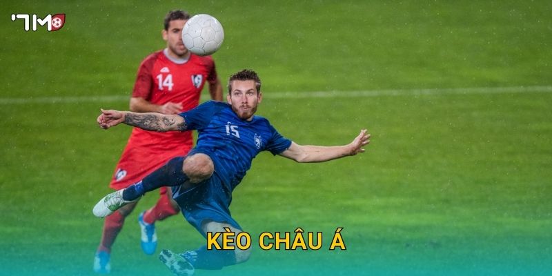 Kèo châu Á 7M – Phân tích tỷ lệ cược, chiến thuật bắt kèo chuẩn 1 Kèo châu Á 7M – Phân tích tỷ lệ cược, chiến thuật bắt kèo chuẩn