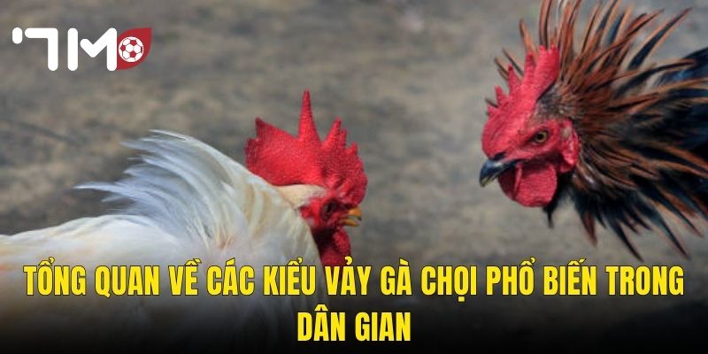 Các Kiểu Vảy Gà Chọi – Giải Mã Bí Ẩn Phong Thủy Và Chiến Lực Tại 7m 2 Tổng Quan Về Các Kiểu Vảy Gà Chọi Phổ Biến Trong Dân Gian