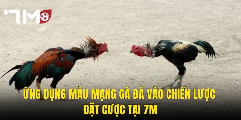 Màu Mạng Gà Đá – Bí Kíp Chọn Gà Theo Ngũ Hành Để Thắng Tại 7m 3 Ứng Dụng Màu Mạng Gà Đá Vào Chiến Lược Đặt Cược Tại 7m