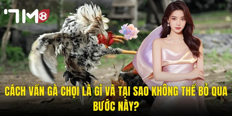 Cách Vần Gà Chọi Là Gì Và Tại Sao Không Thể Bỏ Qua Bước Này?