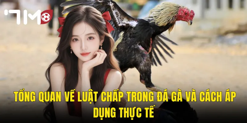 Luật Chấp Trong Đá Gà – Hiểu Rõ Để Đặt Cược Thông Minh Hơn Tại 7m 2 Tổng Quan Về Luật Chấp Trong Đá Gà Và Cách Áp Dụng Thực Tế