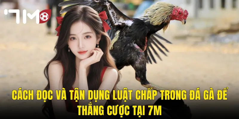 Luật Chấp Trong Đá Gà – Hiểu Rõ Để Đặt Cược Thông Minh Hơn Tại 7m 3 Cách Đọc Và Tận Dụng Luật Chấp Trong Đá Gà Để Thắng Cược Tại 7m