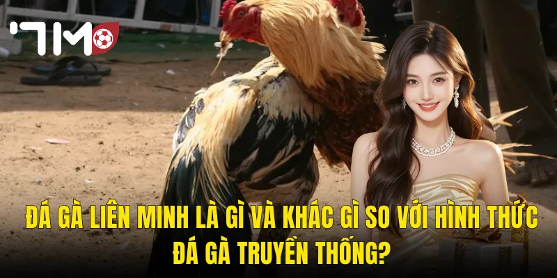 Đá Gà Liên Minh Tại 7m – Đấu Trường Kịch Tính Dành Cho Cao Thủ Thực Thụ 2 Đá Gà Liên Minh Là Gì Và Khác Gì So Với Hình Thức Đá Gà Truyền Thống?