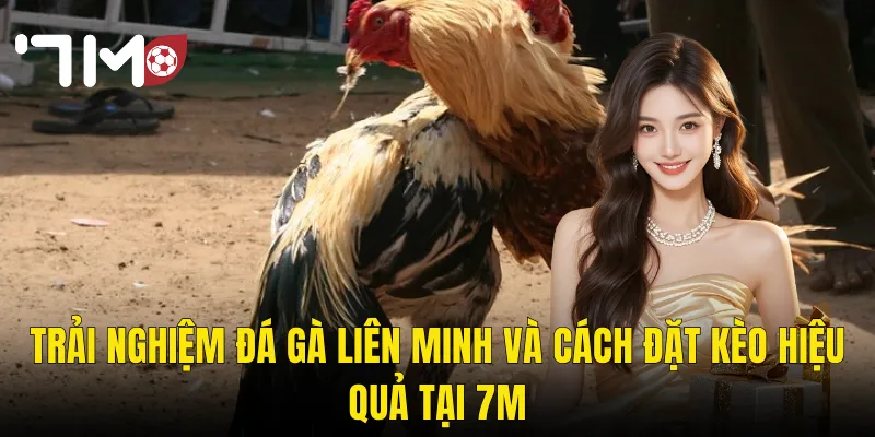 Đá Gà Liên Minh Tại 7m – Đấu Trường Kịch Tính Dành Cho Cao Thủ Thực Thụ 3 Trải Nghiệm Đá Gà Liên Minh Và Cách Đặt Kèo Hiệu Quả Tại 7m